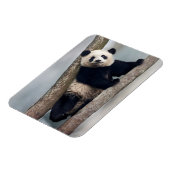 Magnet Flexible Young Panda climbing a tree, Chine (Côté Gauche)