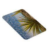 Magnet Flexible Yucca dans le désert, Mexique (Côté Droit)