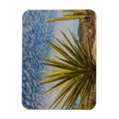 Magnet Flexible Yucca dans le désert, Mexique (Vertical)