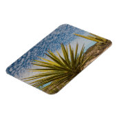 Magnet Flexible Yucca dans le désert, Mexique (Côté Gauche)