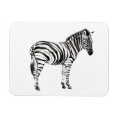 Magnet Flexible Zebra (Horizontal)