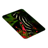 Magnet Flexible Zebra Long Wing sur fleurs (Côté Droit)