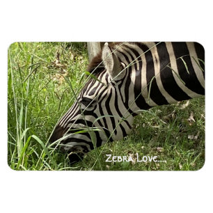 Magnet Flexible Zebra Love...Magnet