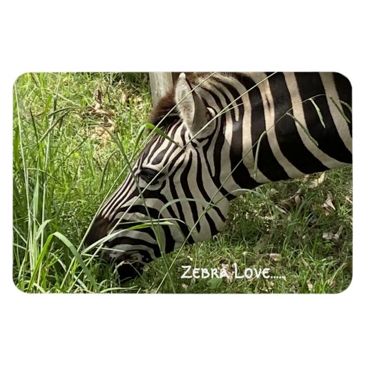 Magnet Flexible Zebra Love...Magnet (Horizontal)