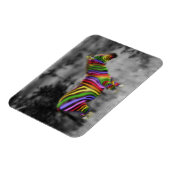 Magnet Flexible Zèbre d'arc-en-ciel (Côté Gauche)