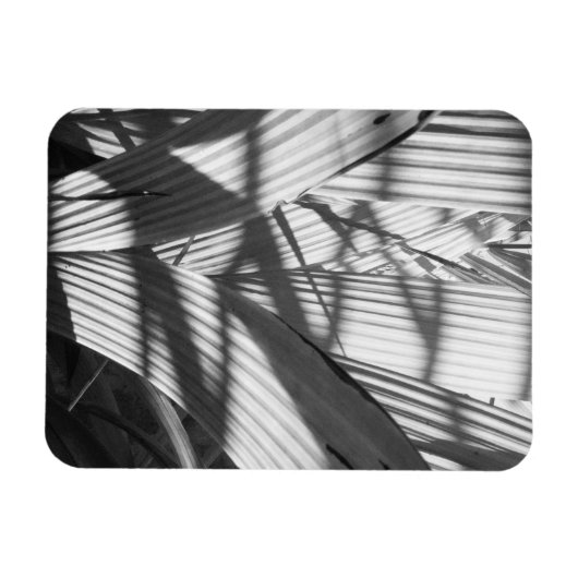 Magnet Flexible Zigzag (Horizontal)