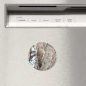 Magnet Flicker du Nord. (In Situ (Lave-vaisselle))