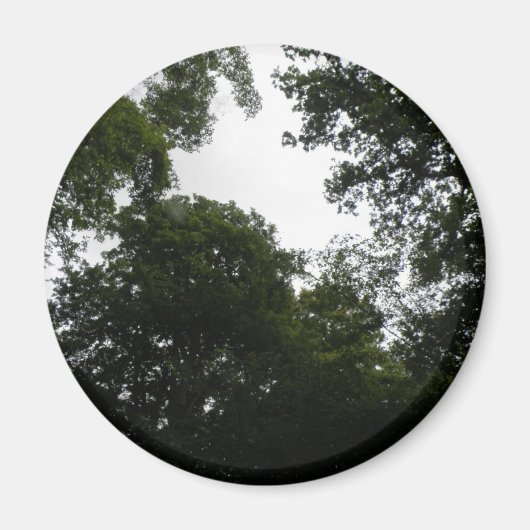 Magnet forestier déplaisant (Devant)