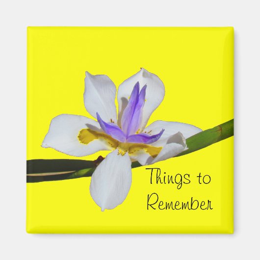 Magnet - Fortnight Lilly Magneet (Voorkant)