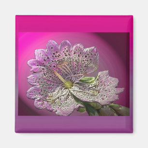 Magnet Foxglove