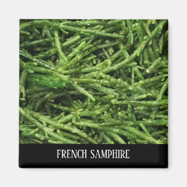 MAGNET - FRANS SAMPHIRE MAGNEET