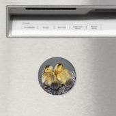 Magnet frigo (In Situ (Lave-vaisselle))