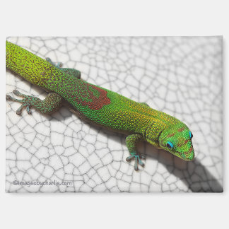 Magnet frigo Lézard diurne à poussière d'or