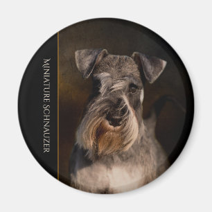 Magnet frigo Schnauzer Miniature