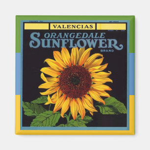 MAGNET ~  fruitkrat Adverteren zonnebloem Magneet