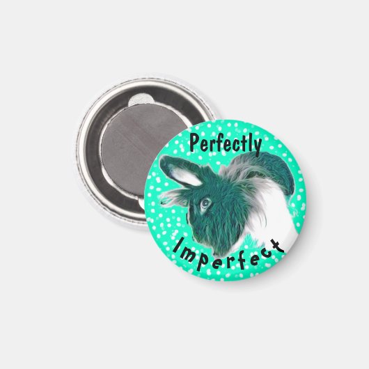 Magnet Fun inspirant Bunny (Recto/Verso)