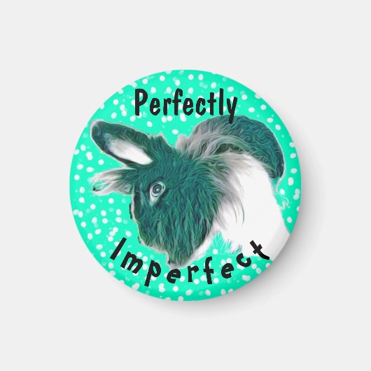 Magnet Fun inspirant Bunny (Devant)