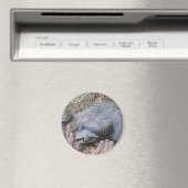 Magnet "Gator Hugs" Magneet (Insitu (Vaatwasser))