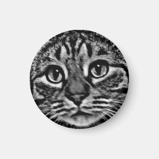 Magnet - Général Tso, noir et blanc