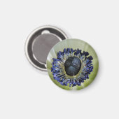 Magnet gladiolus byzantin (Recto/Verso)