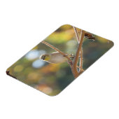 Magnet Goldfinch féminin (Côté Gauche)