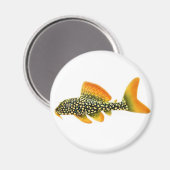 Magnet Goldy Sunshine Pleco (Recto/Verso)