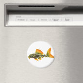 Magnet Goldy Sunshine Pleco (In Situ (Lave-vaisselle))