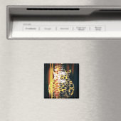 Magnet guitare de Cheetah (In Situ (Lave-vaisselle))