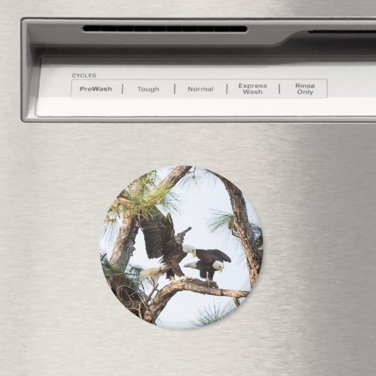 Magnet H & M (In Situ (Lave-vaisselle))