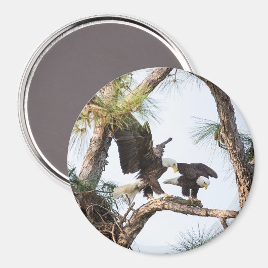 Magnet H & M (Recto/Verso)