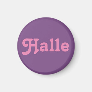 Magnet Halle Magneet