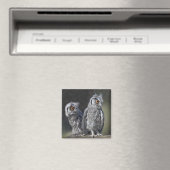 Magnet Hiboux Bébés (In Situ (Lave-vaisselle))