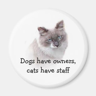Magnet - Honden hebben eigenaars, katten hebben pe Magneet