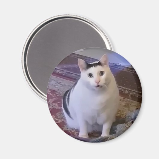 Magnet Huh Cat Meme (Recto/Verso)