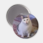 Magnet Huh Cat Meme Magneet (Voorkant / Achterkant)