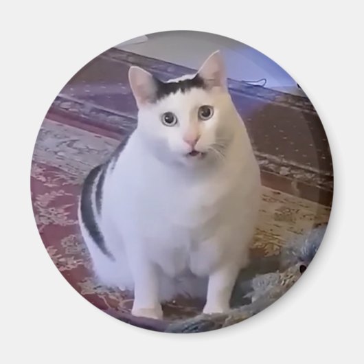 Magnet Huh Cat Meme Magneet (Voorkant)