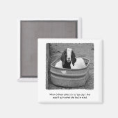 Magnet humoristique du jour du Spa de la chèvre (Recto/Verso)