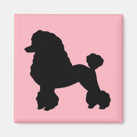 Magnet inspiré de la jupe de caniche rose des anné (Devant)