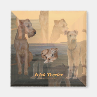 Magnet "Irish Terrier" Magneet