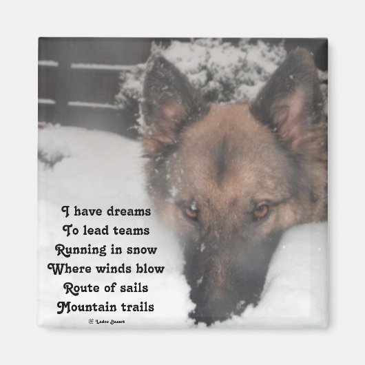 Magnet J'Ai Rêvé Poème Par Ladee Basset (Devant)