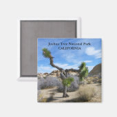 Magnet Joshua Tree ! (Recto/Verso)