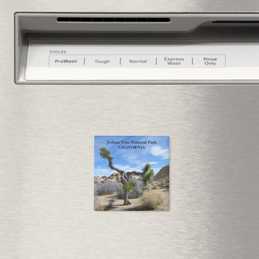 Magnet Joshua Tree ! (In Situ (Lave-vaisselle))