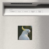 Magnet Kakadu Magneet (Insitu (Vaatwasser))