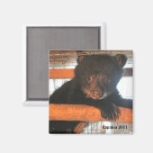 Magnet Kapalua 2011 (Recto/Verso)