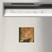 Magnet Kitty (In Situ (Lave-vaisselle))