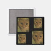 Magnet Kitty (Recto/Verso)