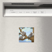 Magnet Koala dormant (In Situ (Lave-vaisselle))