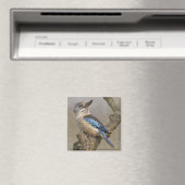 Magnet Kookaburra (In Situ (Lave-vaisselle))