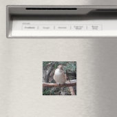 Magnet Kookaburra (In Situ (Lave-vaisselle))