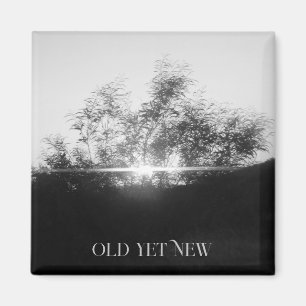 MAGNET KUNST&DESIGN DECORATIE  MAGNEET